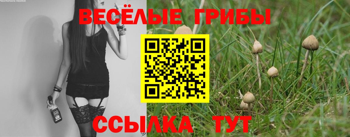 Псилоцибиновые грибы Magic Shrooms Тайшет