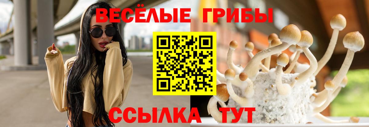 как найти закладки  Галлюциногенные грибы мухоморы  Вход с VPN  Тайшет 